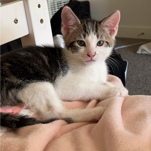 Meet your Posher, Jack